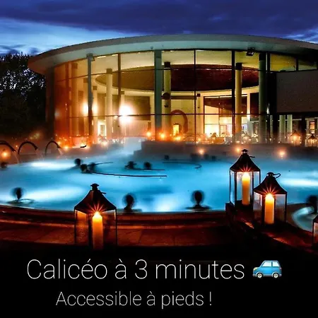 Caliceemerlot *